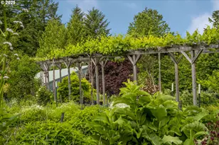 10623 NE Fox Farm Rd, Dundee, OR 97115 - Photo 35