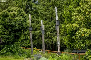 10623 NE Fox Farm Rd, Dundee, OR 97115 - Photo 13