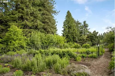 10623 NE Fox Farm Rd, Dundee, OR 97115 - Photo 25