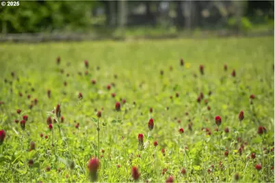 10623 NE Fox Farm Rd, Dundee, OR 97115 - Photo 31