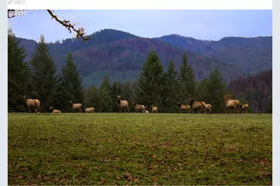 1111 Illahee Rd, Idleyld Park, OR 97447 - Photo 3