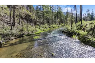 91403 Marbrook Ln, Blue River, OR 97413 - Photo 41