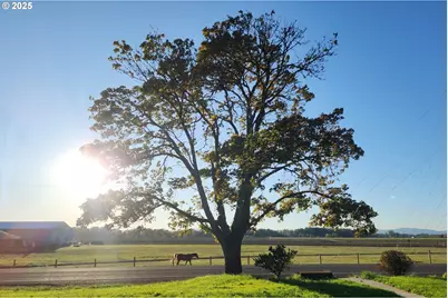 24315 Peoria Rd, Harrisburg, OR 97446 - Photo 41