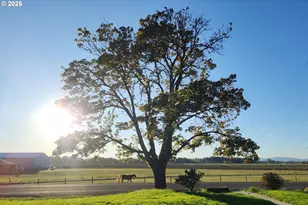 24315 Peoria Rd, Harrisburg, OR 97446 - Photo 41