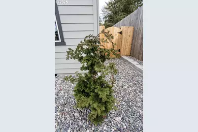 12813 NE 109th St, Vancouver, WA 98682 - Photo 3