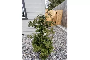 12813 NE 109th St, Vancouver, WA 98682 - Photo 3