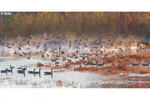 723 Glade Ave, Forest Grove, OR 97116 - Photo 15