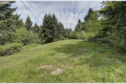 248 Harlequin Ct, Woodland, WA 98674 - Photo 29