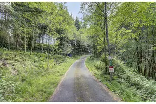 248 Harlequin Ct, Woodland, WA 98674 - Photo 5