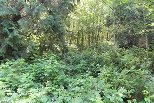 Sylvan Way, Longview, WA 98632 - Photo 1