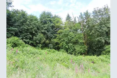Sylvan Way, Longview, WA 98632 - Photo 5