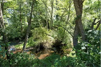 1545 Upper Cow Creek Rd, Azalea, OR 97410 - Photo 37