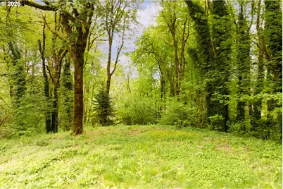 219 Blaine Rd, Woodland, WA 98674 - Photo 11