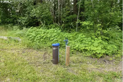 21090 NW Dairy Creek Rd, North Plains, OR 97133 - Photo 21