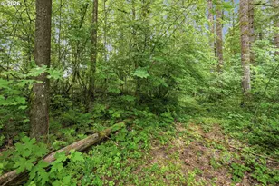 21090 NW Dairy Creek Rd, North Plains, OR 97133 - Photo 23