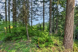 5000 Mountain Shadows Dr, Mount Hood Prkdl, OR 97041 - Photo 13