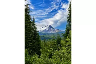 25793 E Bright Ave, Welches, OR 97067 - Photo 47