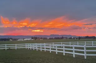 92950 Pitney Ln, Junction City, OR 97448 - Photo 29