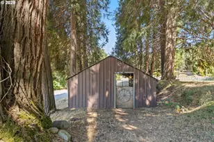 913 Starveout Creek Rd, Azalea, OR 97410 - Photo 5