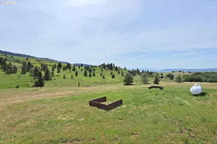 6 Mount Adams View Rd, Lyle, WA 98635 - Photo 45