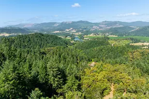 1180 Upper Cleveland Rapids Rd, Roseburg, OR 97471 - Photo 41