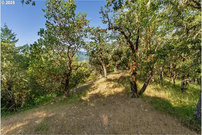 1180 Upper Cleveland Rpds Rd, Roseburg, OR 97471 - Photo 29