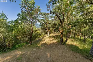 1180 Upper Cleveland Rapids Rd, Roseburg, OR 97471 - Photo 29