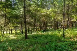 1180 Upper Cleveland Rapids Rd, Roseburg, OR 97471 - Photo 27