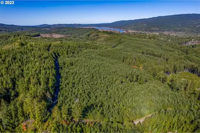 6 Parpala Rd #6, Naselle, WA 98638 - Photo 7