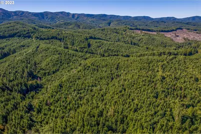 6 Parpala Rd #6, Naselle, WA 98638 - Photo 3