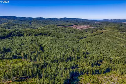 6 Parpala Rd #6, Naselle, WA 98638 - Photo 9