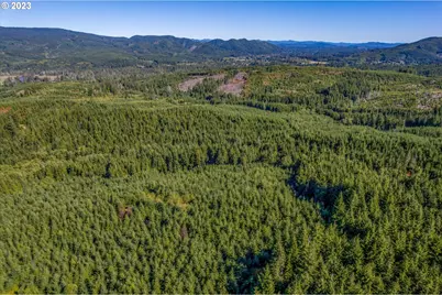 6 Parpala Rd #6, Naselle, WA 98638 - Photo 5
