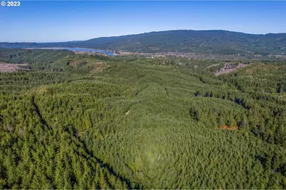 6 Parpala Rd #6, Naselle, WA 98638 - Photo 1