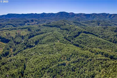 6 Parpala Rd #6, Naselle, WA 98638 - Photo 11