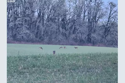 24088 SW Highway 18, Sheridan, OR 97378 - Photo 41