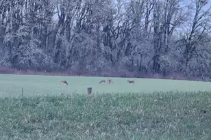 24088 SW Hwy 18, Sheridan, OR 97378 - Photo 41