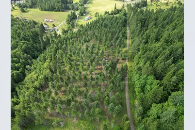 39465 Little Fall Creek Rd, Fall Creek, OR 97438 - Photo 35