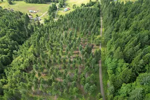 39465 Little Fall Creek Rd, Fall Creek, OR 97438 - Photo 35