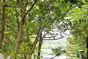 97790 S Bank Chetco River Rd, Brookings, OR 97415 - Photo 19