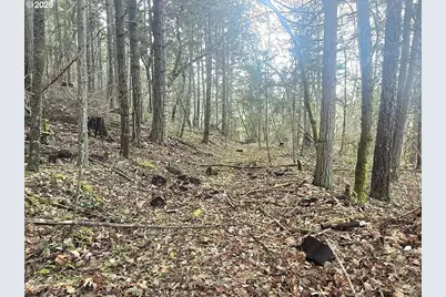 1065 Panther Gulch Rd, Williams, OR 97544 - Photo 9