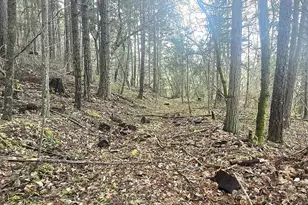 1065 Panther Gulch Rd, Williams, OR 97544 - Photo 9