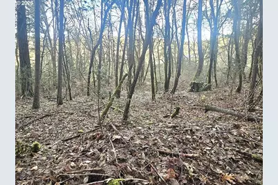 1065 Panther Gulch Rd, Williams, OR 97544 - Photo 13