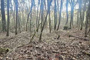 1065 Panther Gulch Rd, Williams, OR 97544 - Photo 13