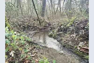 1065 Panther Gulch Rd, Williams, OR 97544 - Photo 11