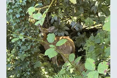 93924 Kirkendall Ln, North Bend, OR 97459 - Photo 37