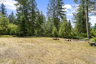 181 Lodgepole Ln, Cougar, WA 98616 - Photo 29