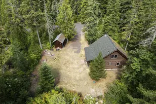 181 Lodgepole Ln, Cougar, WA 98616 - Photo 3