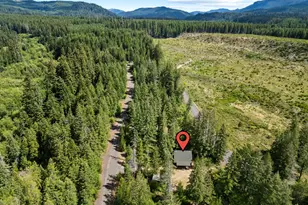 181 Lodgepole Ln, Cougar, WA 98616 - Photo 35