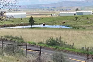 320 Pine Forest Rd, Goldendale, WA 98620 - Photo 7