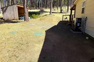 320 Pine Forest Rd, Goldendale, WA 98620 - Photo 39